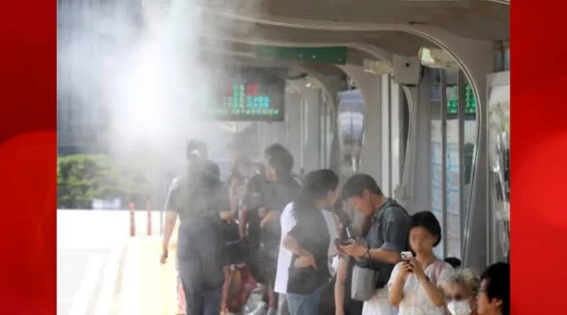 heat wave in souuth Korea